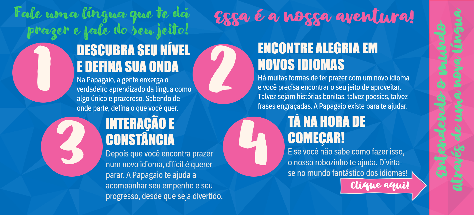 Imagem 5